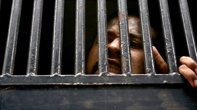 MS 13 BT.jpg